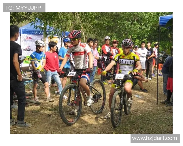 高校联赛中FPX团队意识的表现分析与战术探讨 高校联赛中FPX团队意识的表现分析与战术探讨